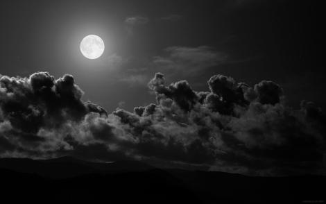 moonlight